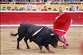 Jose Antonio Pinto (134)